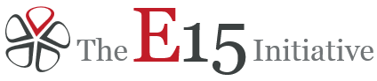 E15 initiative