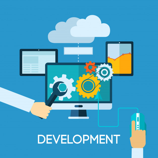 Custom Application Development- Do we need it?